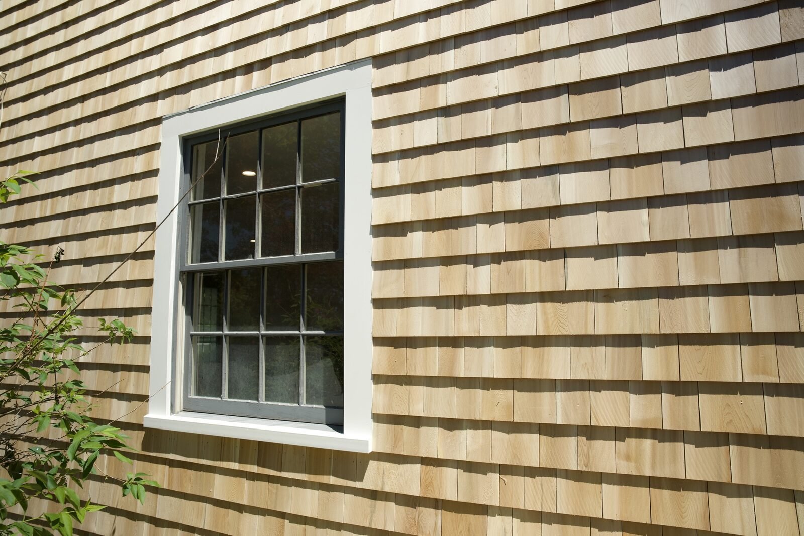 Siding photo 6